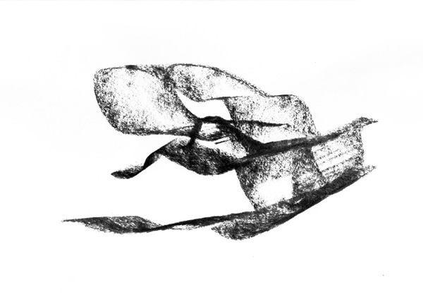 Chrysalide III - © Tim Catinat, all right reserved