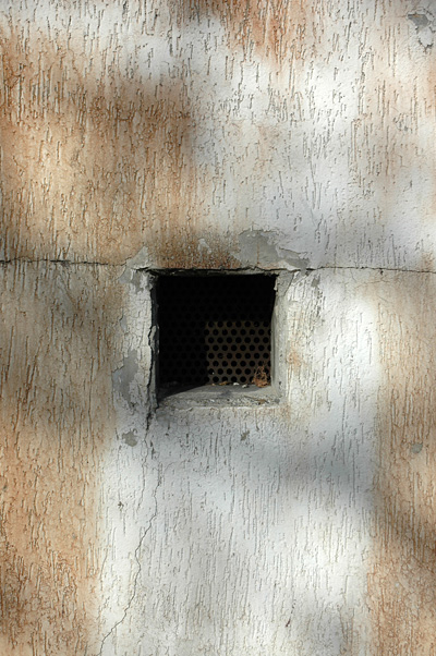 © Tim Catinat, all right reserved