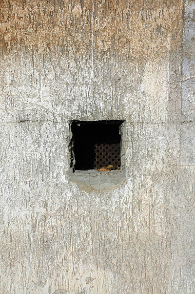 © Tim Catinat, all right reserved