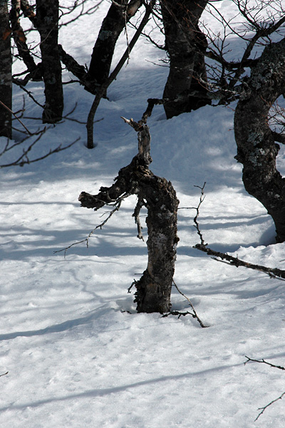 © Tim Catinat, all right reserved