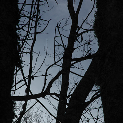 © Tim Catinat, all right reserved