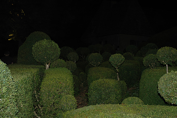 © Tim Catinat, all right reserved