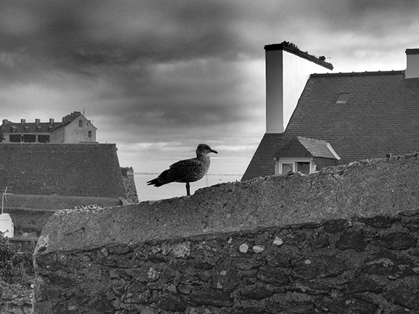 © Tim Catinat, all right reserved