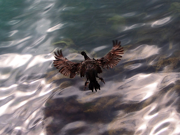 © Tim Catinat, all right reserved