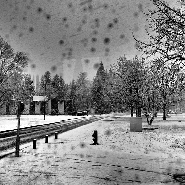 © Tim Catinat, all right reserved