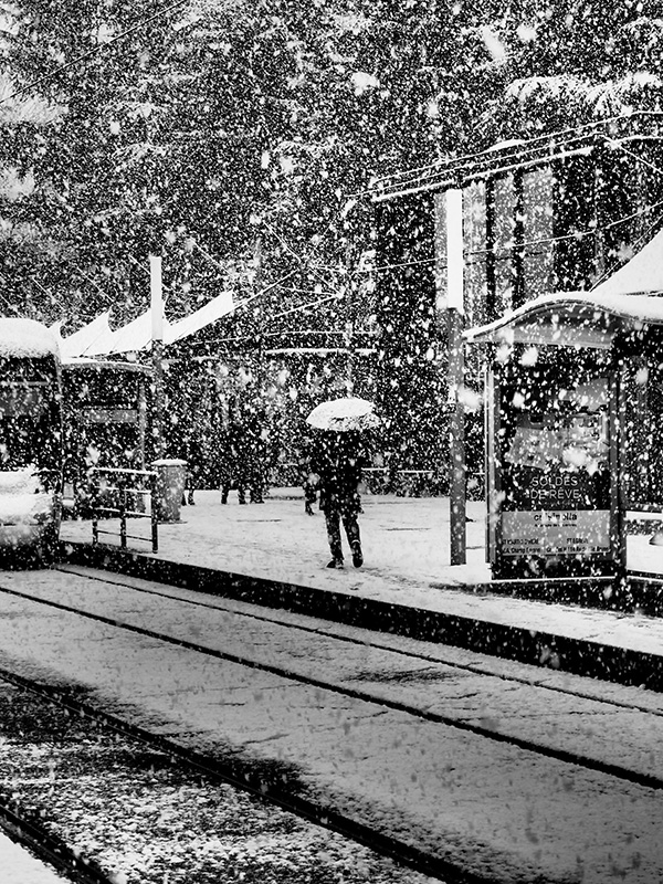 © Tim Catinat, all right reserved