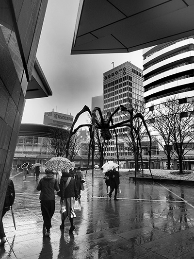 © Tim Catinat, all right reserved