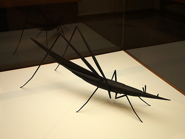 © Tim Catinat, all right reserved