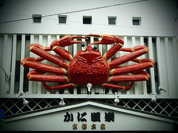 © Tim Catinat, all right reserved