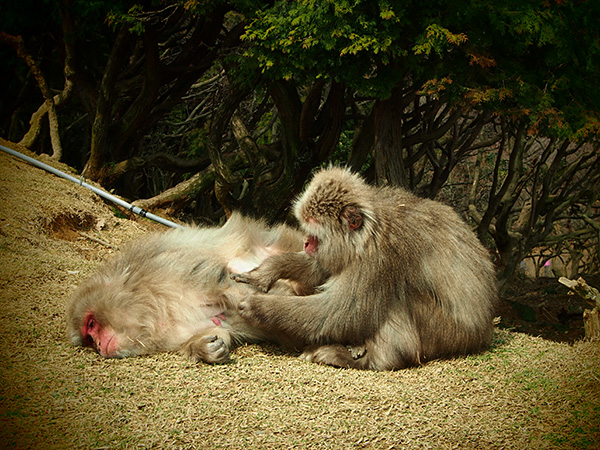 © Tim Catinat, all right reserved