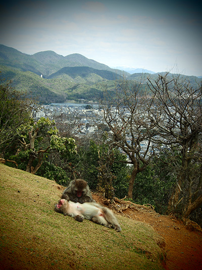 © Tim Catinat, all right reserved