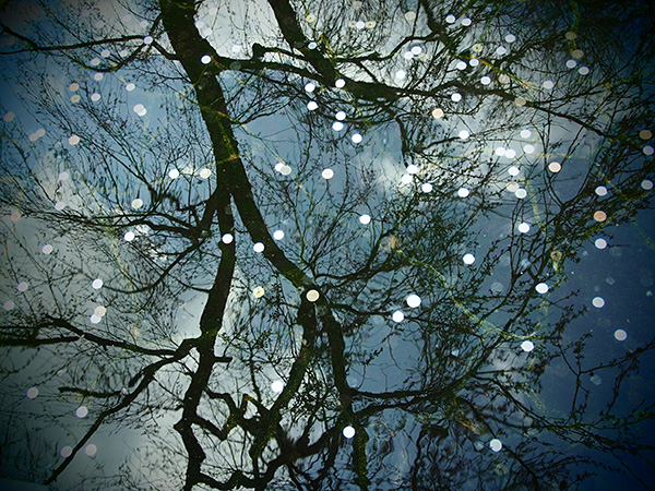 © Tim Catinat, all right reserved