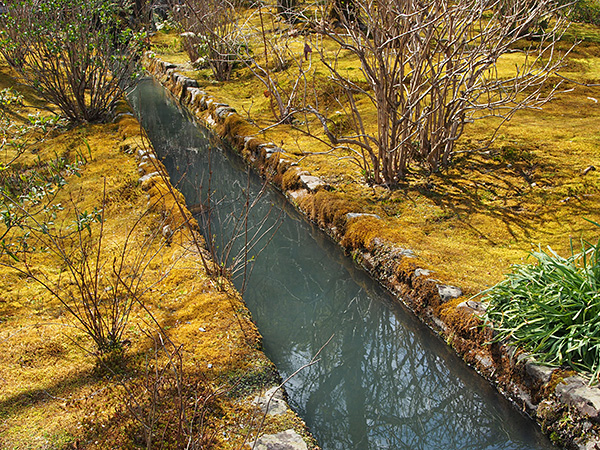 © Tim Catinat, all right reserved