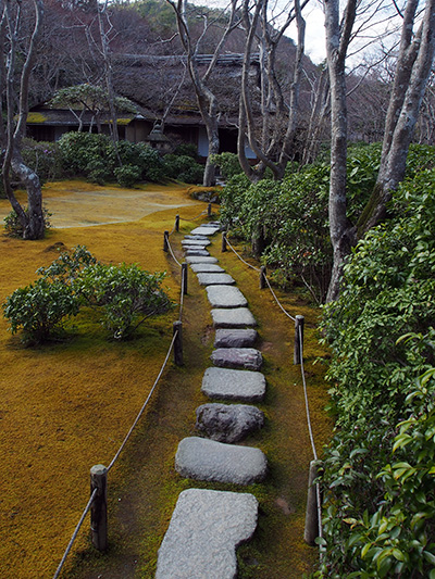 © Tim Catinat, all right reserved