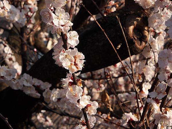 © Tim Catinat, all right reserved