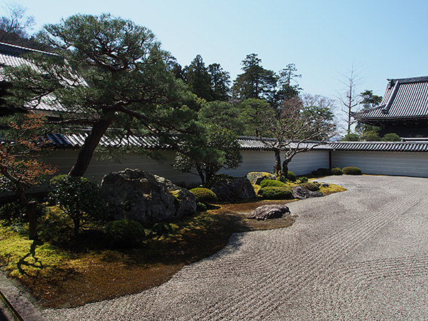 © Tim Catinat, all right reserved