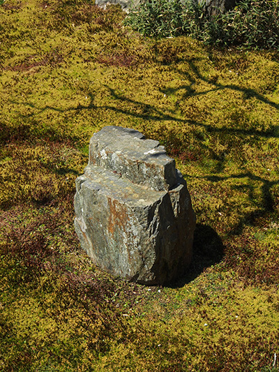 © Tim Catinat, all right reserved