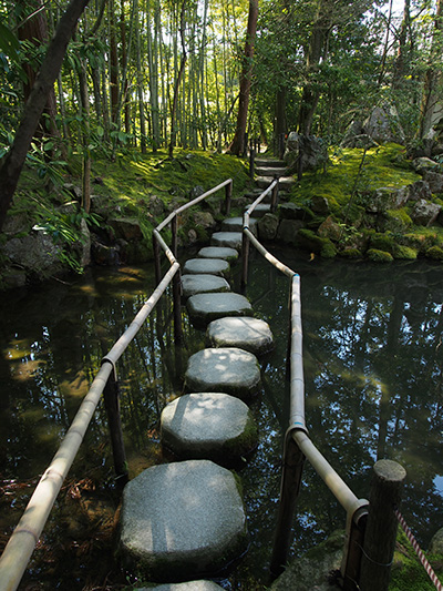 © Tim Catinat, all right reserved