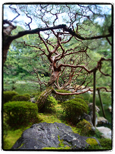 © Tim Catinat, all right reserved