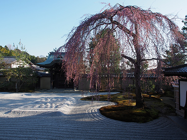 © Tim Catinat, all right reserved