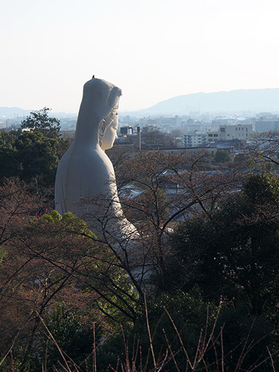 © Tim Catinat, all right reserved