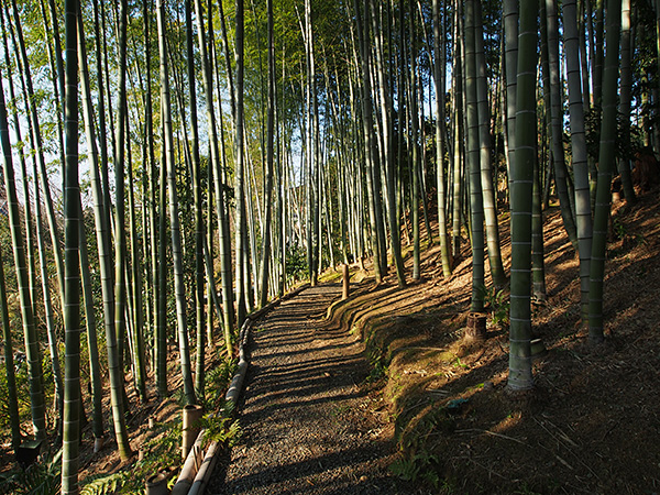 © Tim Catinat, all right reserved