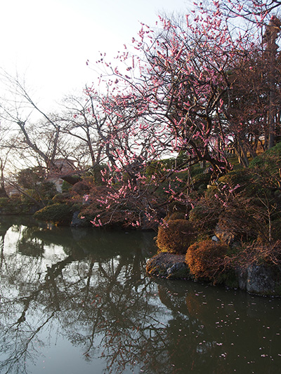 © Tim Catinat, all right reserved