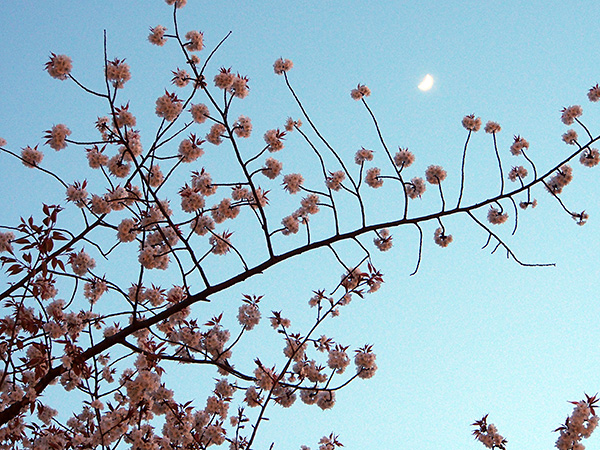 © Tim Catinat, all right reserved