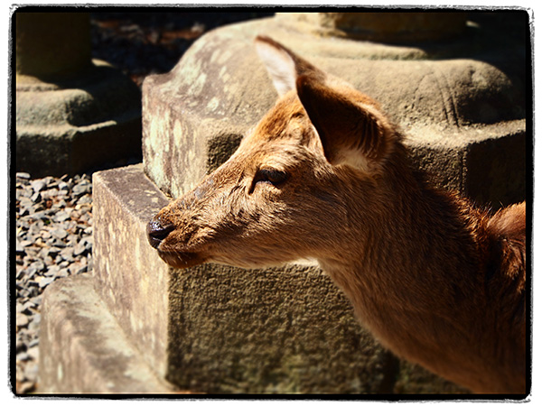 © Tim Catinat, all right reserved