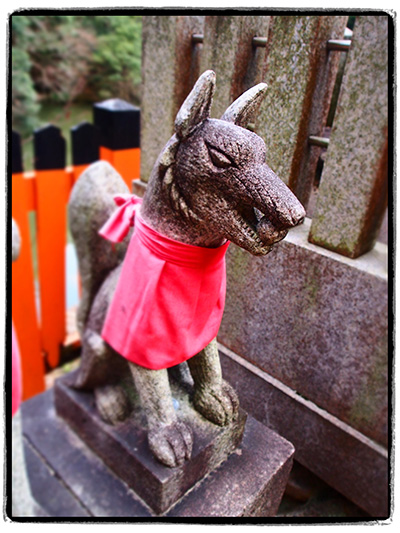 © Tim Catinat, all right reserved