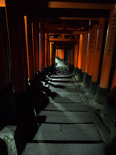 © Tim Catinat, all right reserved