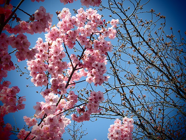 © Tim Catinat, all right reserved