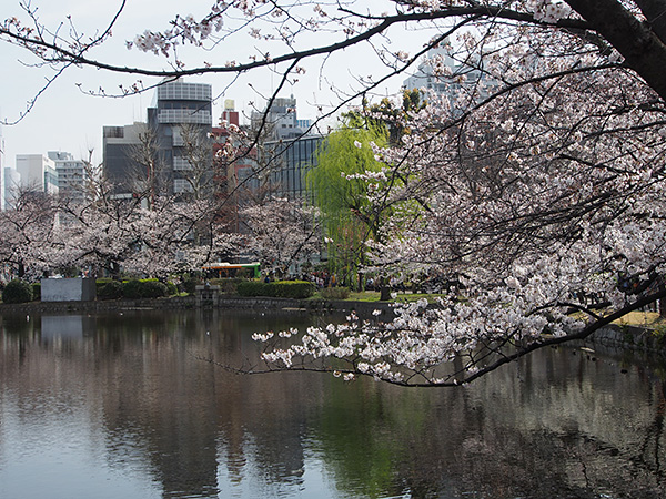 © Tim Catinat, all right reserved