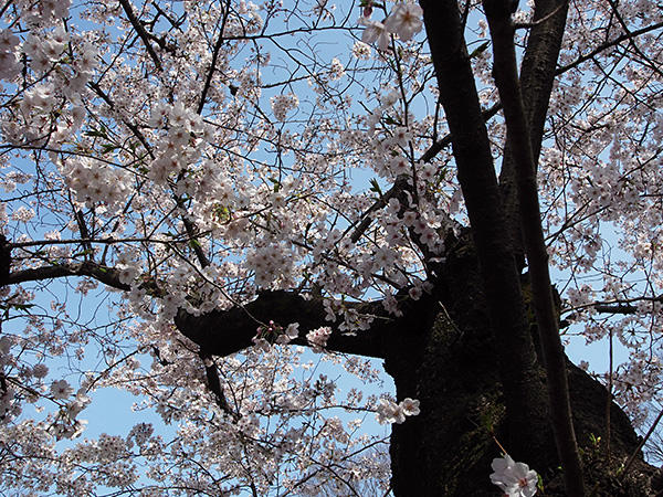 © Tim Catinat, all right reserved