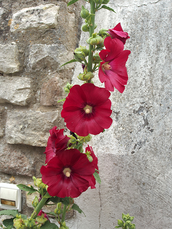 © Tim Catinat, all right reserved