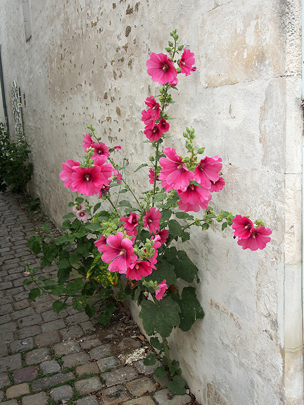 © Tim Catinat, all right reserved