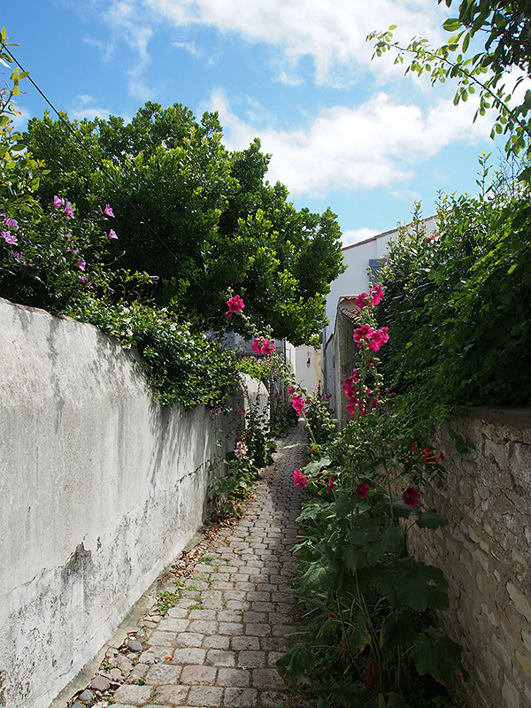 © Tim Catinat, all right reserved