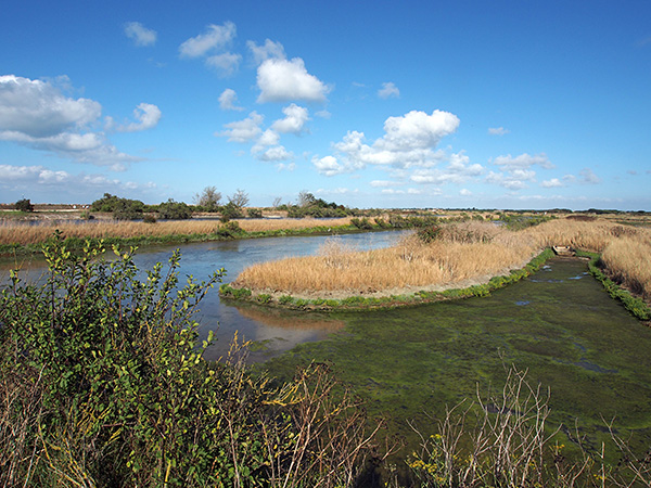 © Tim Catinat, all right reserved