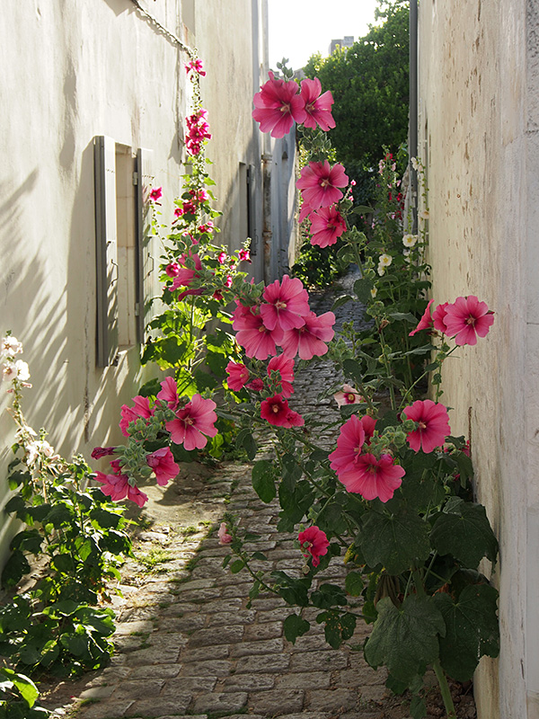 © Tim Catinat, all right reserved