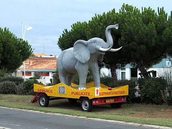 © Tim Catinat, all right reserved