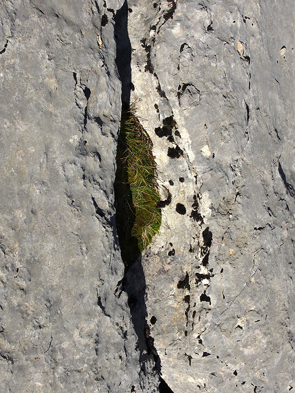 © Tim Catinat, all right reserved