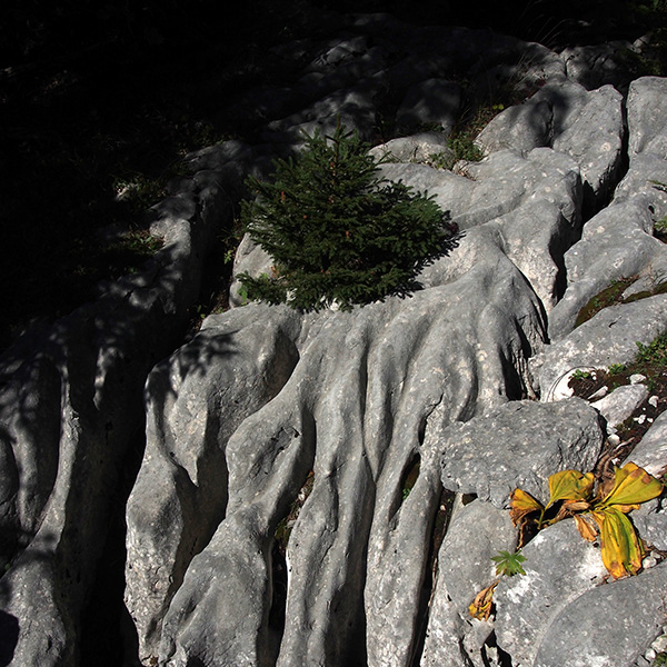 © Tim Catinat, all right reserved