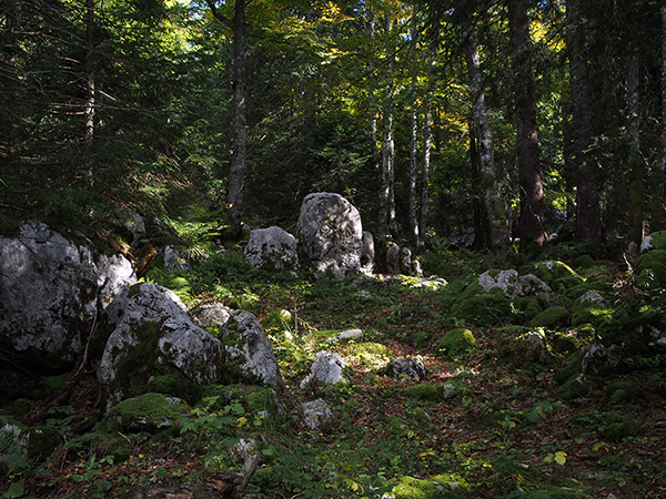 © Tim Catinat, all right reserved