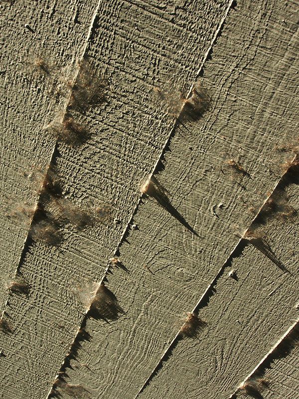 © Tim Catinat, all right reserved