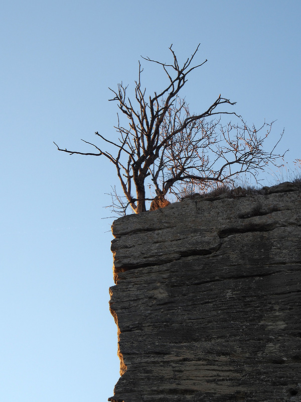 © Tim Catinat, all right reserved