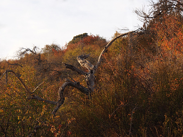 © Tim Catinat, all right reserved