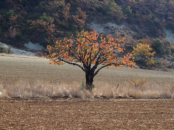 © Tim Catinat, all right reserved