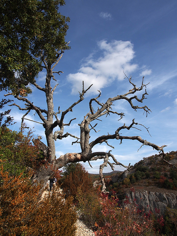 © Tim Catinat, all right reserved