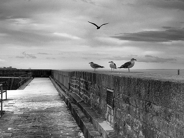 © Tim Catinat, all right reserved