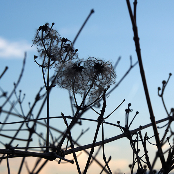 © Tim Catinat, all right reserved